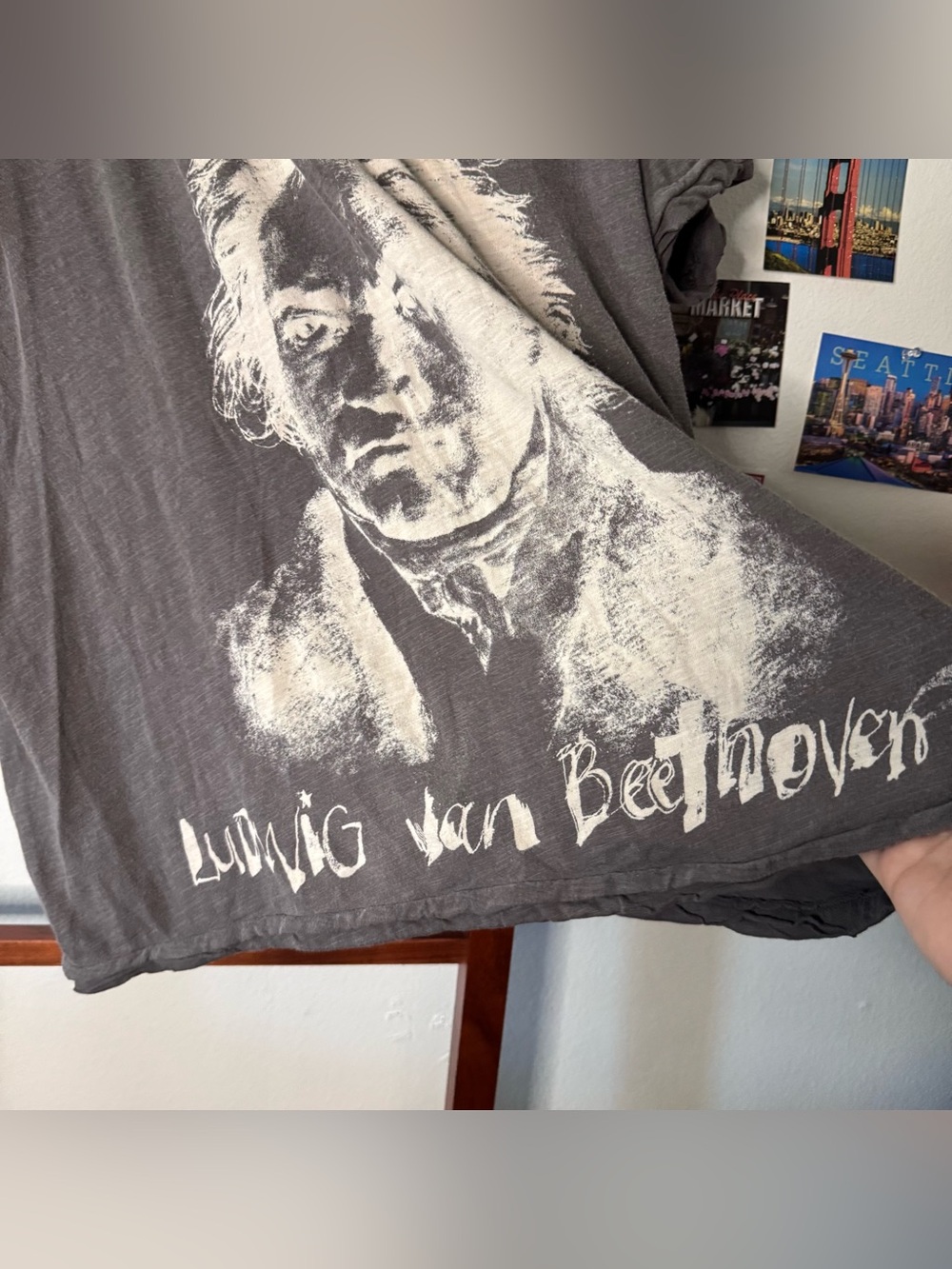 Magnolia Pearl Beethoven Julien Henley Shirt Loose Top - Picture 8 of 12